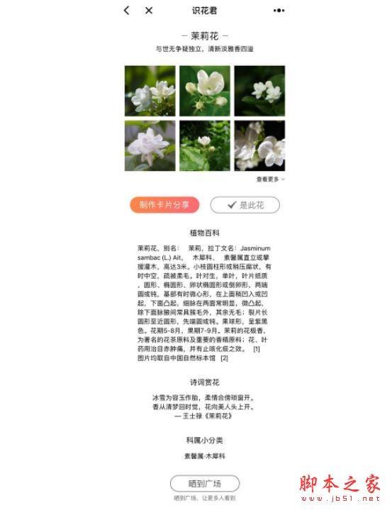 识花君小程序入口在哪里?微信小程序识花君怎么用?