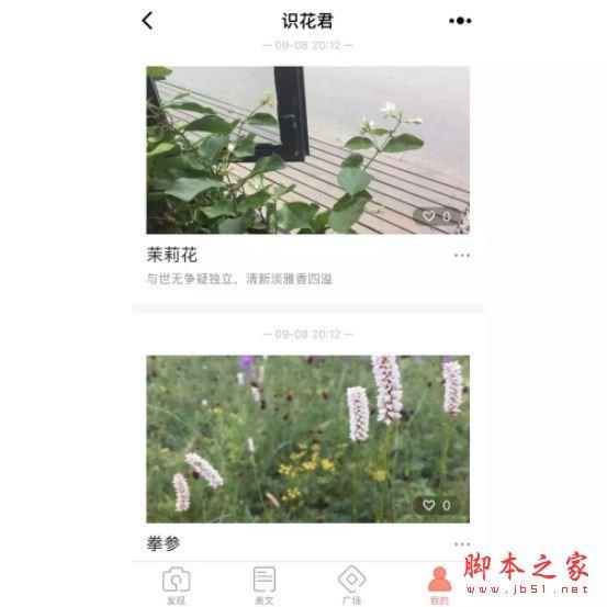 识花君小程序入口在哪里?微信小程序识花君怎么用?