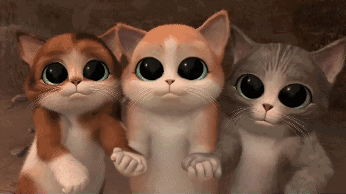 shopee卖什么产品好（shopee怎么上架产品）