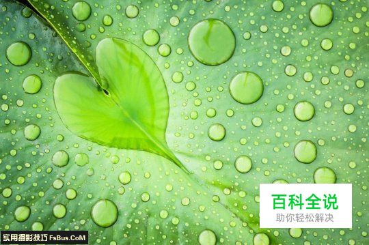 生活小情调摄影攻略