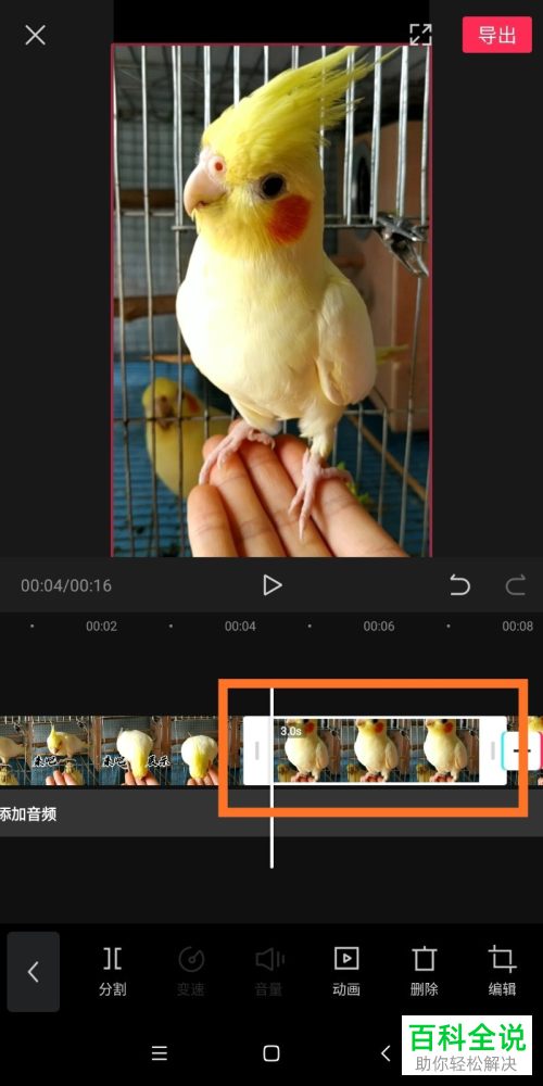 手机版剪映如何制作拍照定格的特效