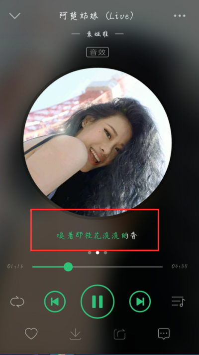 手机版qq音乐歌词在哪