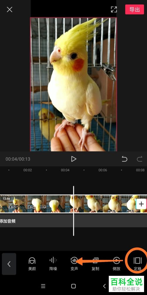 手机版剪映如何制作拍照定格的特效