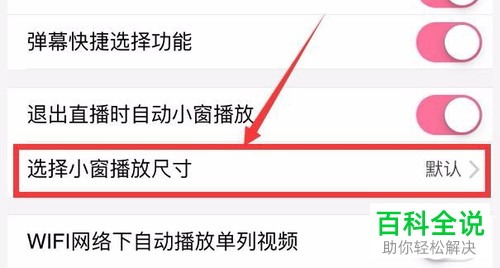 手机哔哩哔哩怎么设置小窗播放大小