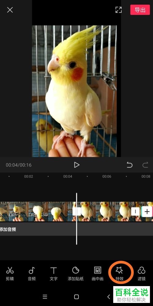 手机版剪映如何制作拍照定格的特效