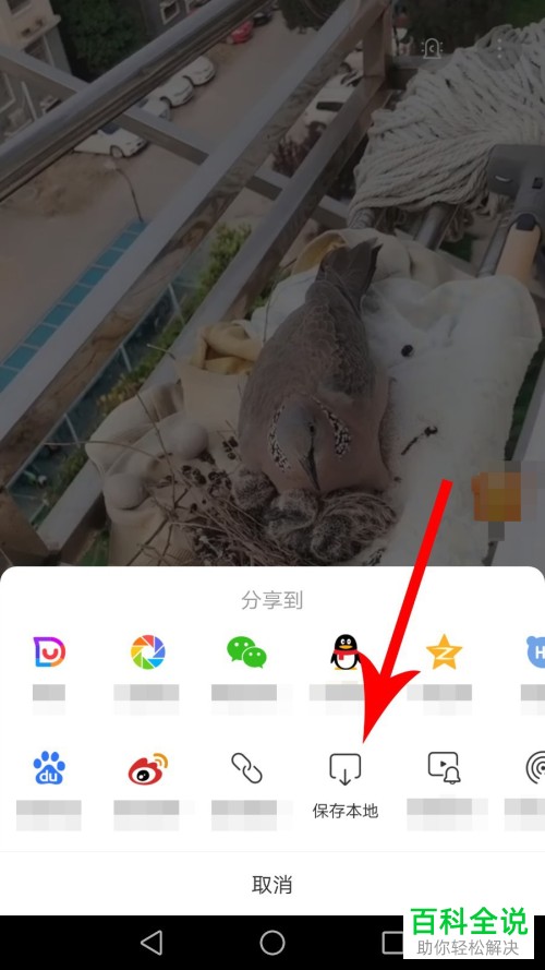 手机版百度怎么下载小视频到本地