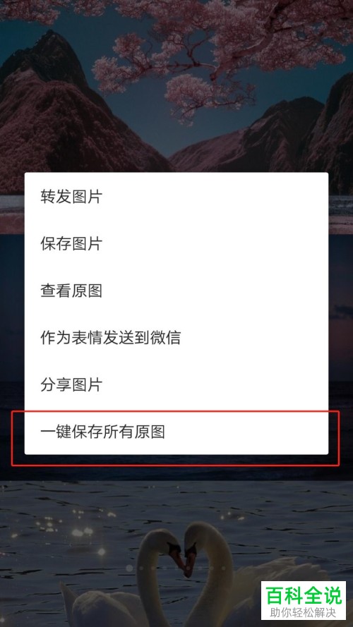 手机端微博国际版如何一键保存所有原图