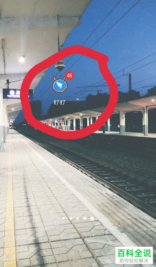 手机钉钉怎么写日报