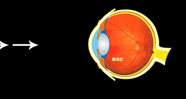 手机护眼模式真的有用吗（手机的护眼模式真的能保护眼睛吗）