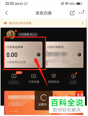 手机京东APP中在哪可以查看到所有白条账单
