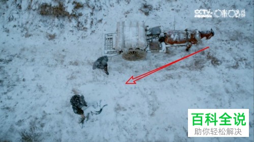 手机咪咕视频的弹幕显示区域如何调整