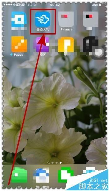 手机墨迹天气怎么查询车辆违章相关信息?