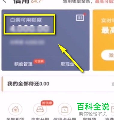 手机内如何取消京东白条功能