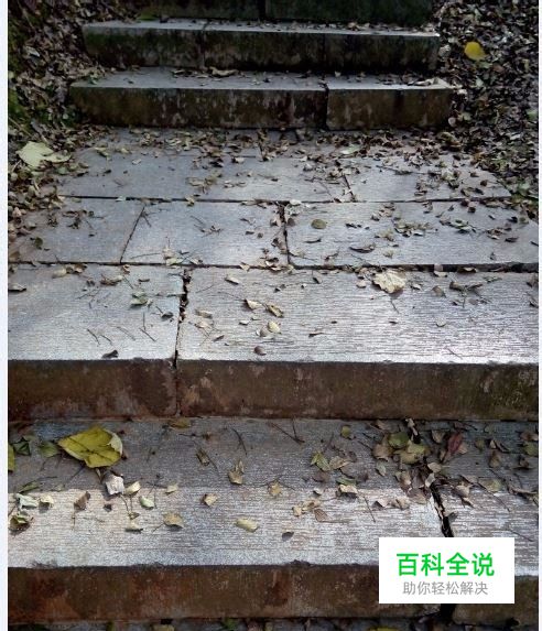 手机拍照的方法与窍门