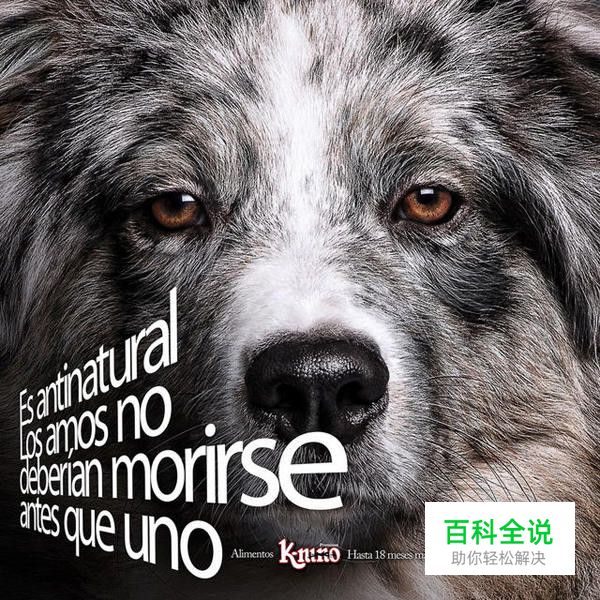 视觉缺少层次感，应该怎么解决？