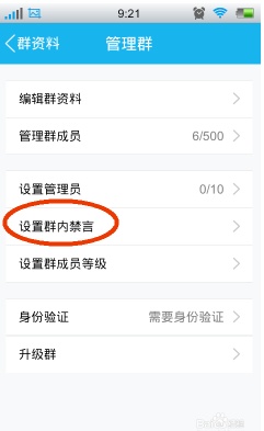手机上怎么开启/关闭qq群禁言