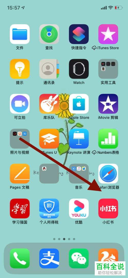 手机上的小红书APP怎么绑定apple账号