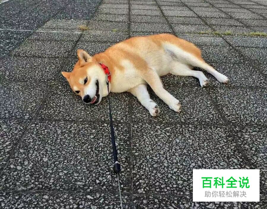 设计师去创业公司注意点