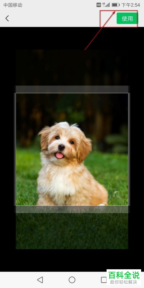 手机微信如何更改朋友圈封面图片