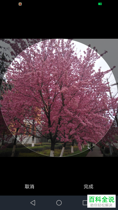 手机微信读书软件的头像如何修改