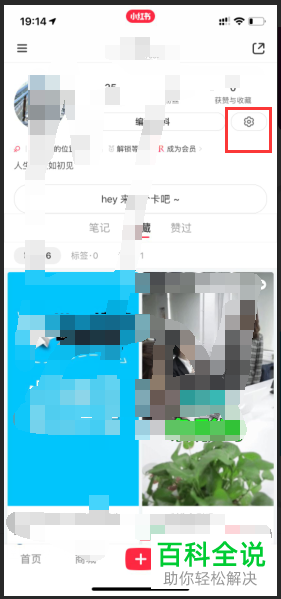 手机小红书软件只在wifi下自动播放视频怎么设置