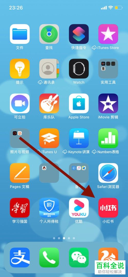 手机小红书APP怎么只允许在WiFi下才可自动播放视频