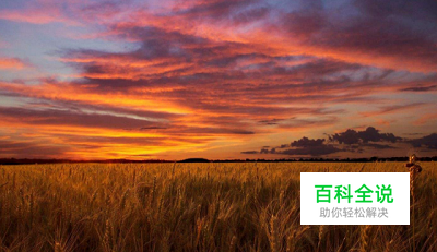 手机相册里的照片误删怎么恢复的详细教程