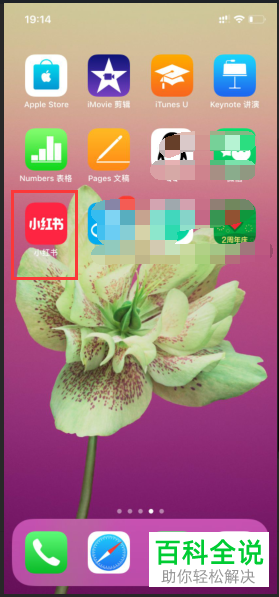 手机小红书软件只在wifi下自动播放视频怎么设置