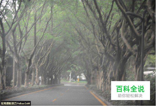 随机应变婚礼摄影师的实战分析