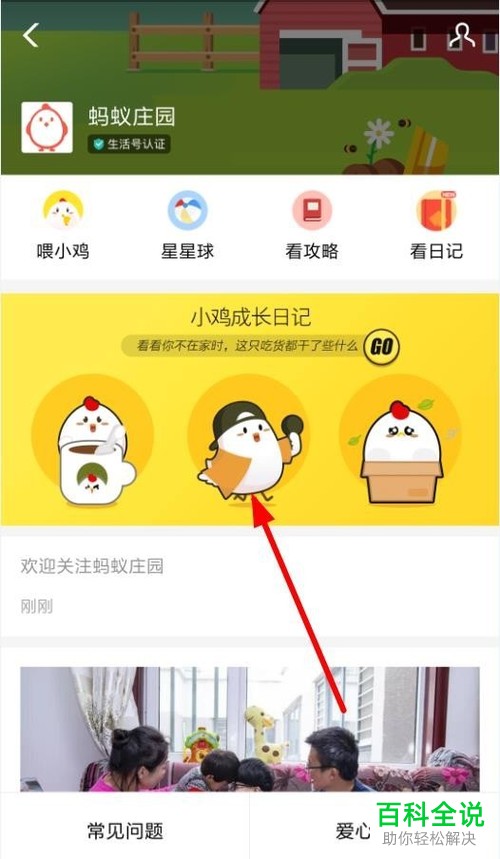 手机支付宝蚂蚁庄园怎么查看小鸡日记