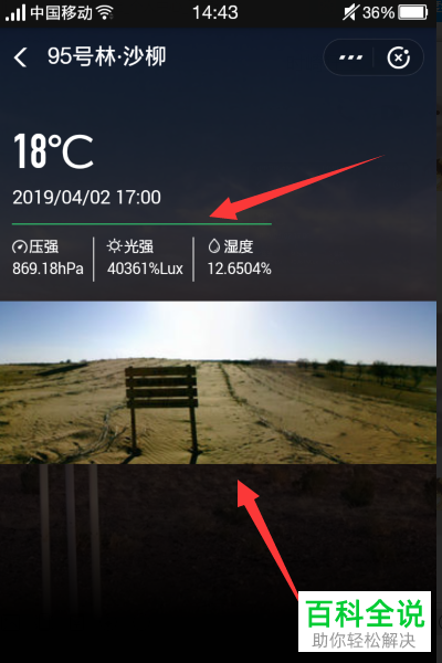 手机支付宝软件中蚂蚁森林种树实景图如何查看