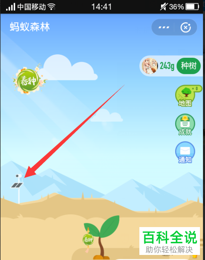 手机支付宝软件中蚂蚁森林种树实景图如何查看