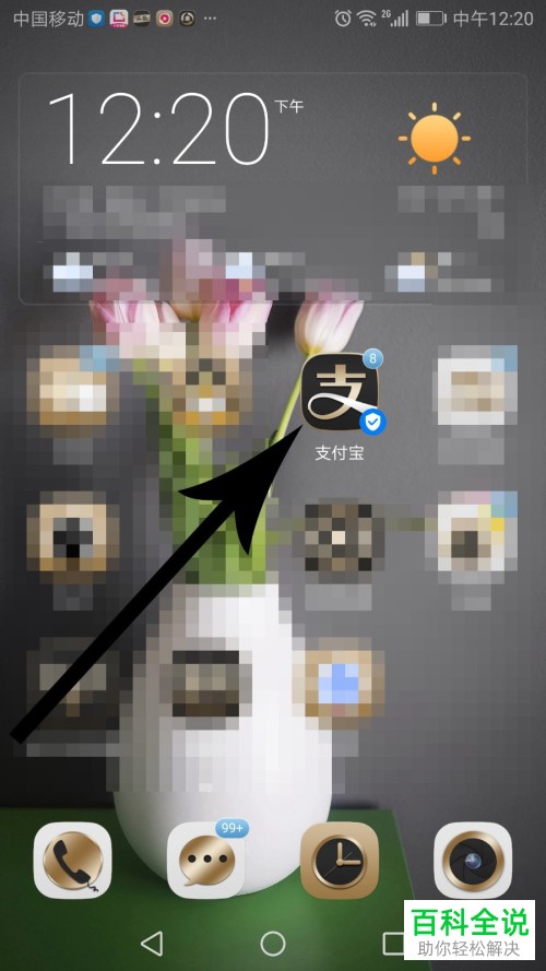 手机支付宝软件上如何查询垃圾的类型