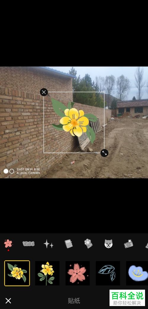 手机中的视频如何添加贴纸遮挡物