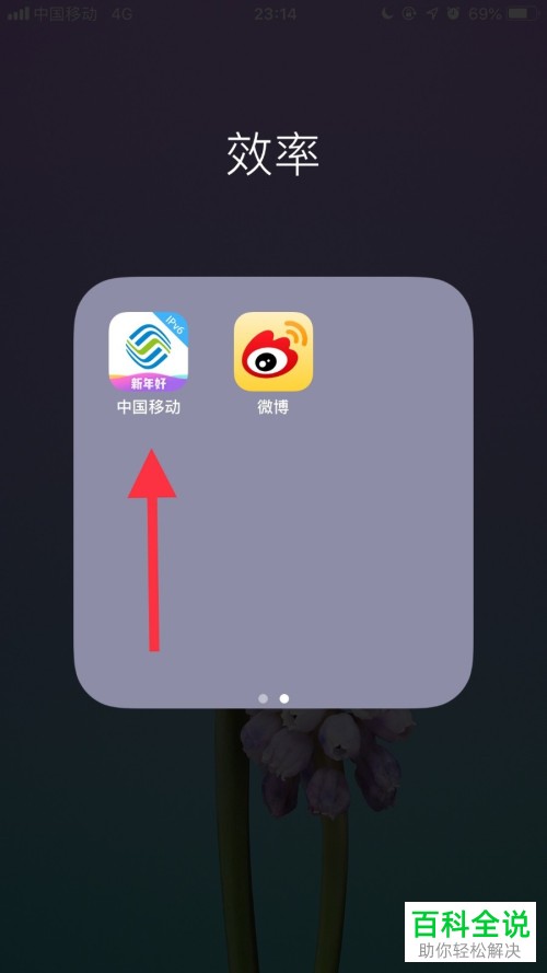 手机中国移动软件的代收费详单怎么查看