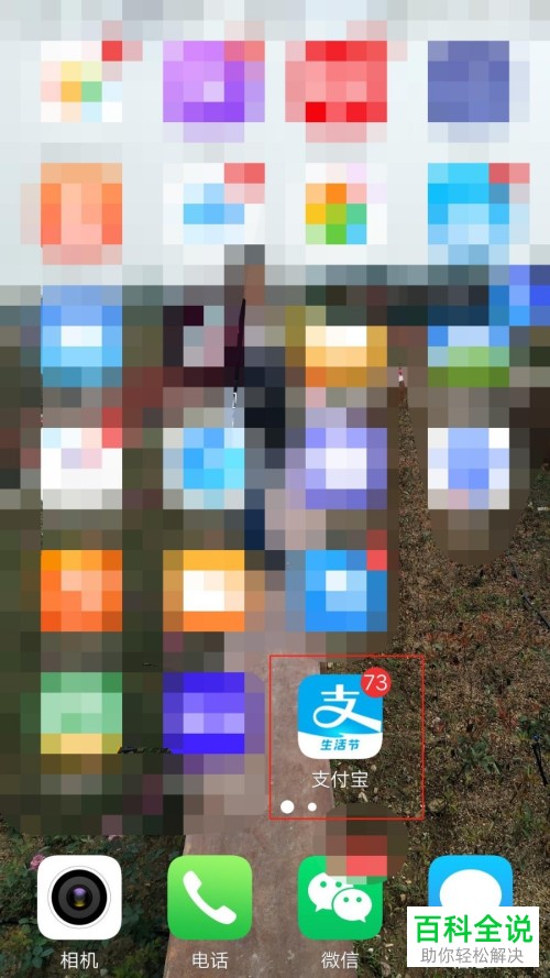 手机支付宝怎样查看快递信息？