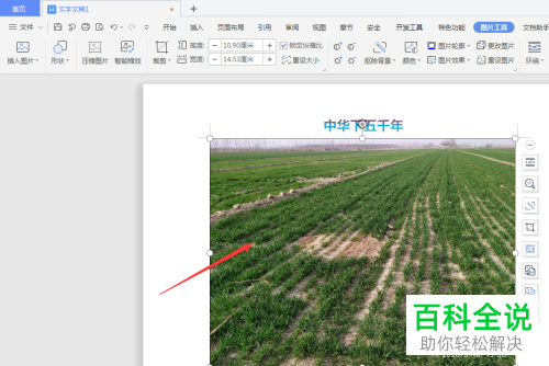 手机中的图片如何上传到WPS文档中