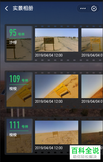 手机支付宝软件中蚂蚁森林种树实景图如何查看