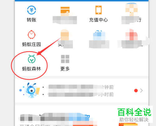 手机支付宝蚂蚁森林隐藏能量球数值功能怎么开启