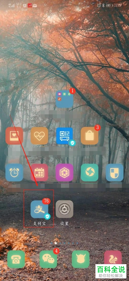 手机支付宝授权的应用如何查看？