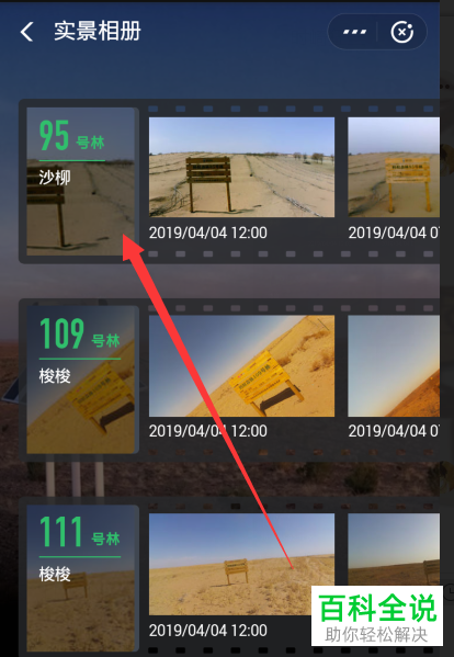 手机支付宝软件中蚂蚁森林种树实景图如何查看