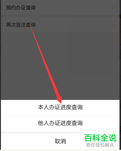 手机支付宝软件中港澳通行证办理进度如何查看