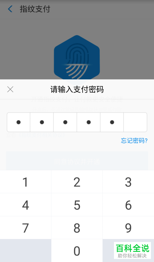 手机支付宝指纹支付功能怎么设置