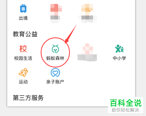 手机支付宝蚂蚁森林隐藏能量球数值功能怎么开启