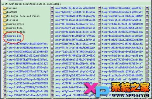 Skype自动关闭的解决方法