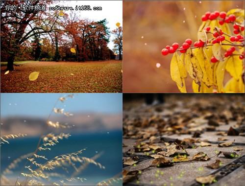 数码大师2013新版首发体验