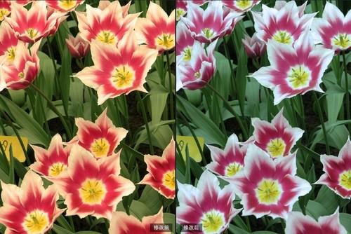 数码后期 一键校正白平衡重获好照片