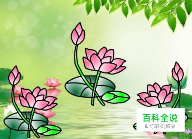 实例讲解Flash中如何绘制荷花图案