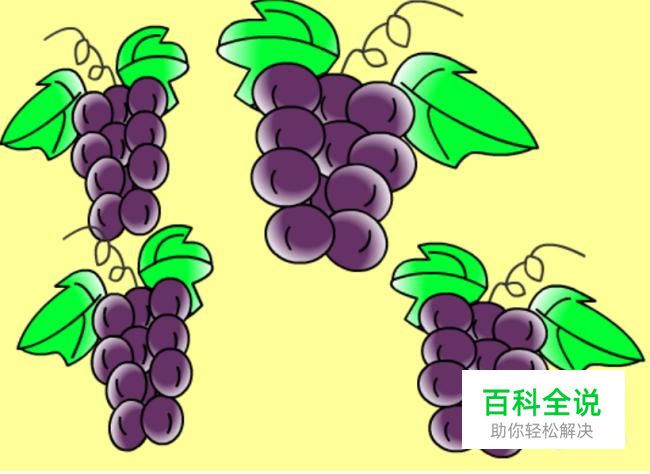 实例讲解Flash中如何绘制葡萄动画