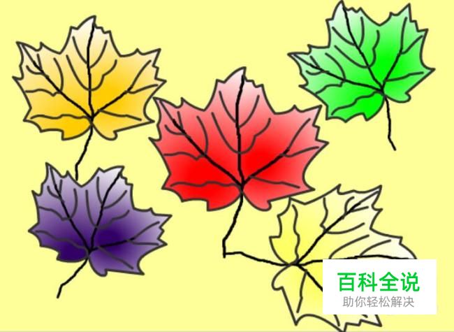 实例讲解Flash中如何绘制枫叶图案